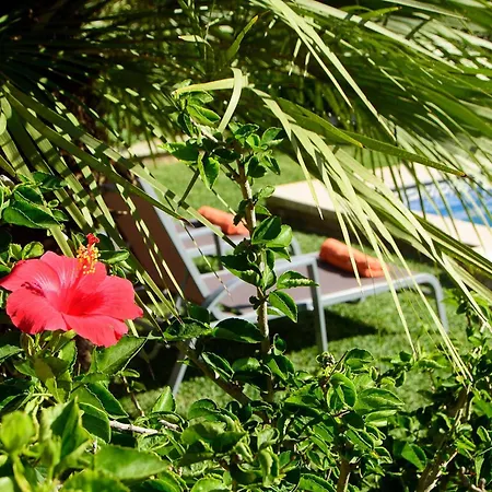 Tintorer Villa Port de Pollenca